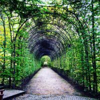 «The Poison Garden»: ядовитые растения из сада Альнвика