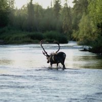 ТОП-5 самых невероятных природных заповедников мира