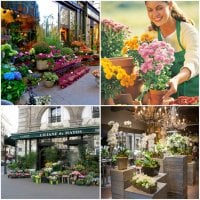 Цветочный бизнес с нуля: как выбрать помещение под цветочный магазин