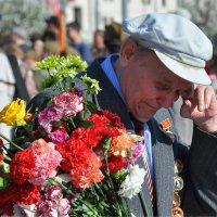 Цветы ветеранам войны, или почему дарят гвоздики