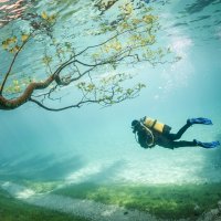Зеленое Озеро «Grüner See»: удивительный подводный парк