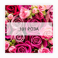 Букеты 101 роза Кирьят Экрон