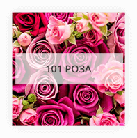 101 rose in Dnipro