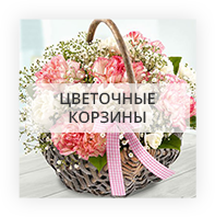 Baskets of flowers 