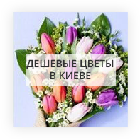 Дешевые цветы Киев