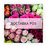 Доставка роз Полтава