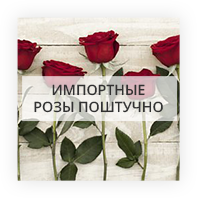 Импортные розы поштучно Киев