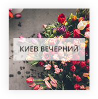 Киев вечерний Луцк