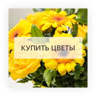 The best flowers in Dnipro