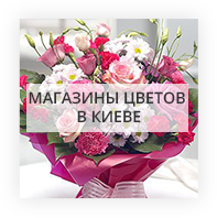 Магазины цветов в 