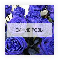 Blue roses