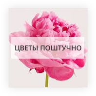 Цветы поштучно Полтава