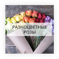 Разноцветные розы Киев