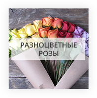 Разноцветные розы Житомир