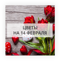Цветы на 14 февраля Штефан-Вода