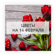 Цветы на 14 февраля Могилёв