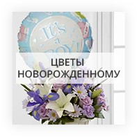 Новорожденным Київ