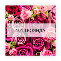 101 троянда по Бресту (Білорусь)