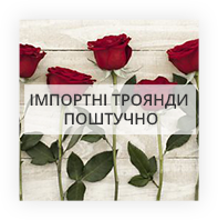 Імпортні троянди поштучно Ленінське