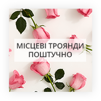 Місцеві троянди поштучно Новоукраїнка