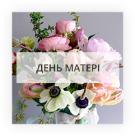 День Матері Новоукраїнка