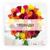 Троянди у Турійську