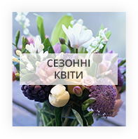 Сезонні квіти Київ - Дніпровський район