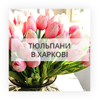 Тюльпани Анікщяй